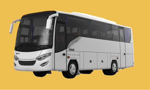Bus Medium | Prestytravel
